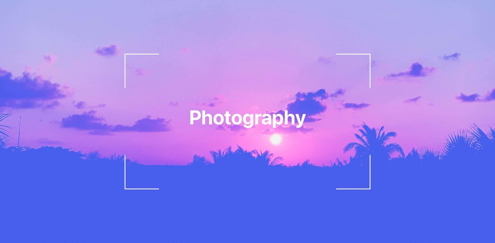 Take pictures